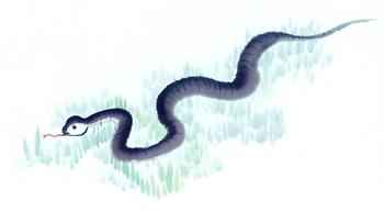 生肖蛇