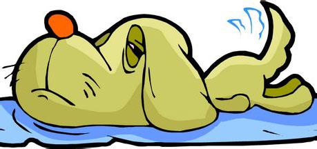 2006年属什么,2006年是什么命