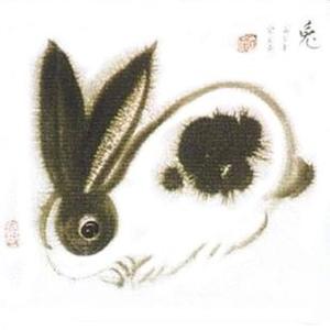 生肖兔